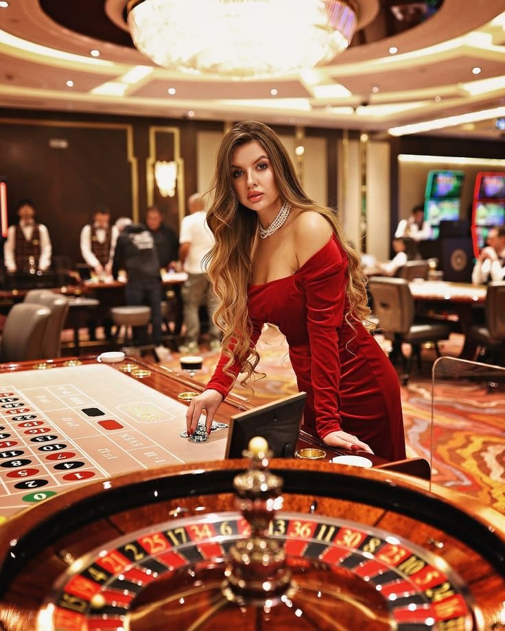 8855bet app