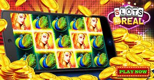 8855bet app